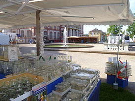 Gartenmesse