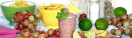 Stachelbeersalsa